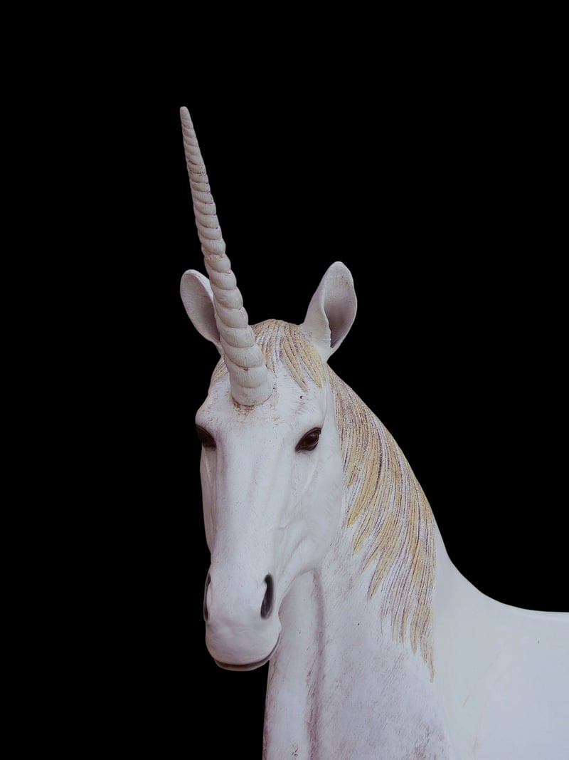 Mythical Unicorn